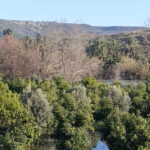 Irmak taştı, şantiye ile narenciye bahçelerini su bastı