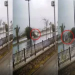 Alanya'da kontrolden çıkan otomobil refüjdeki ağaca çarparak ters döndü