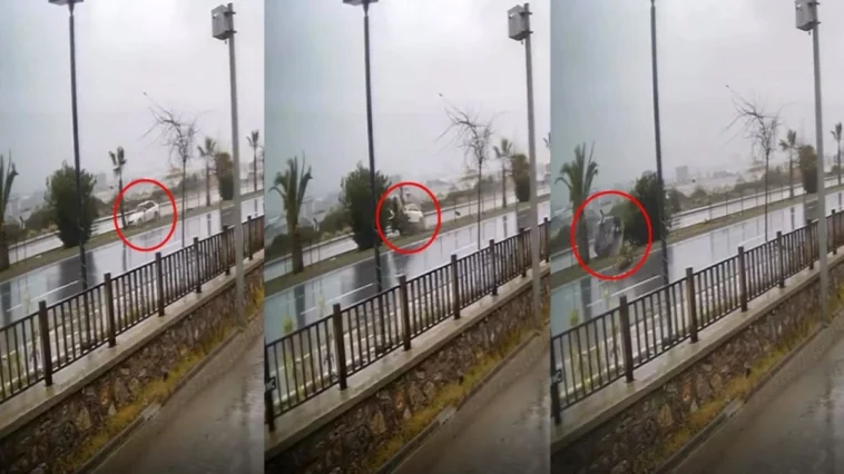 Alanya'da kontrolden çıkan otomobil refüjdeki ağaca çarparak ters döndü