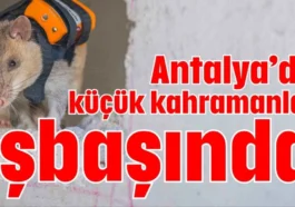 Antalya’da küçük kahramanlar işbaşında