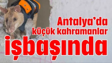 Antalya’da küçük kahramanlar işbaşında