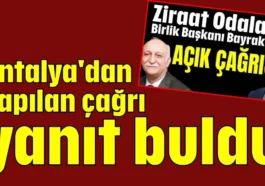 Antalya'dan yapılan çağrı yanıt buldu