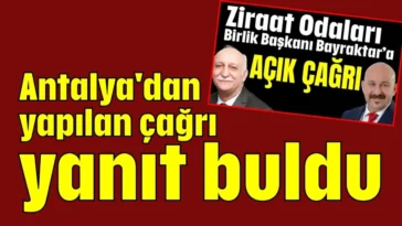 Antalya'dan yapılan çağrı yanıt buldu