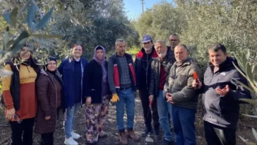 Budama eğitimi tamamlandı