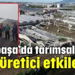 Gazipaşa’da tarımsal afet: 214 üretici etkilendi