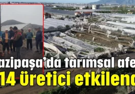 Gazipaşa’da tarımsal afet: 214 üretici etkilendi