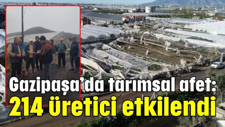 Gazipaşa’da tarımsal afet: 214 üretici etkilendi