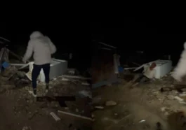 Hortuma konteynerde yakalandı, bitkin halde bulundu