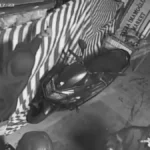 Kameralar ele verdi: 3 şüpheli yakalandı