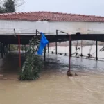 Köprüçayı taştı, bahçeler sular altında