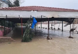 Köprüçayı taştı, bahçeler sular altında