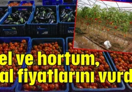 Sel ve hortum, hal fiyatlarını vurdu