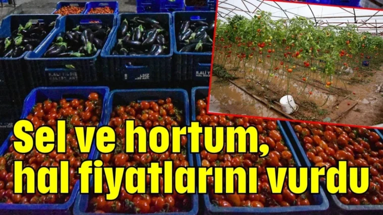 Sel ve hortum, hal fiyatlarını vurdu