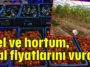 Sel ve hortum, hal fiyatlarını vurdu