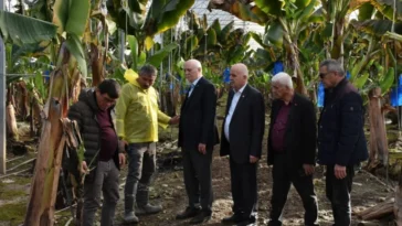 TZOB Başkanı Bayraktar’dan Manavgat’ta afet incelemesi