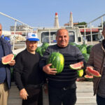 Antalyada sezonun ilk erkenci karpuzu kilosu 40 liraya alıcı buldu