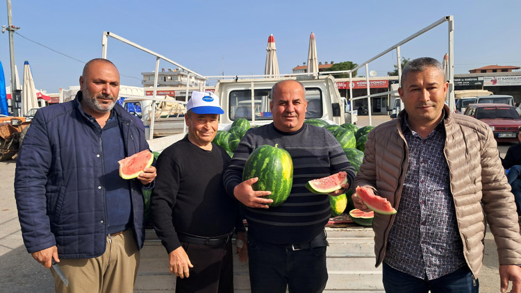 Antalyada sezonun ilk erkenci karpuzu kilosu 40 liraya alıcı buldu