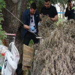 Antalyada şüpheli ölüm Ağaç altında bulundu