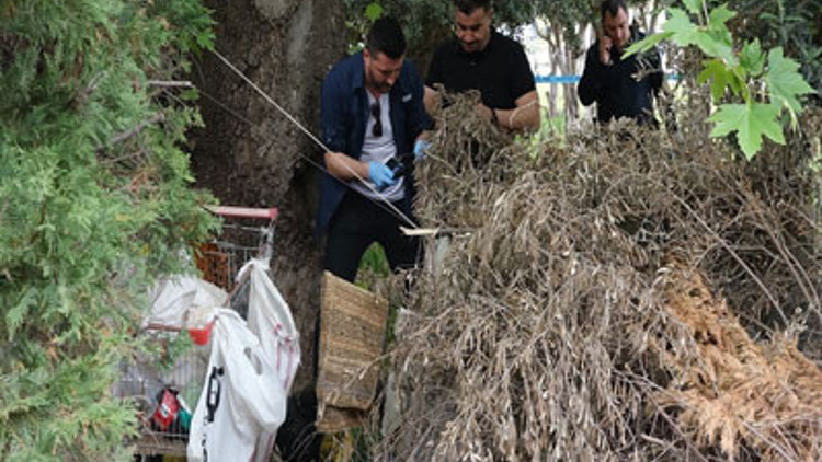 Antalyada şüpheli ölüm Ağaç altında bulundu