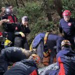 Uçurumdan düşen kazazedeyi ekipler kurtardı