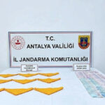 Jandarmadan uyuşturucu operasyonları