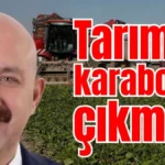 Antalya tarımında karaborsa çıkmazı