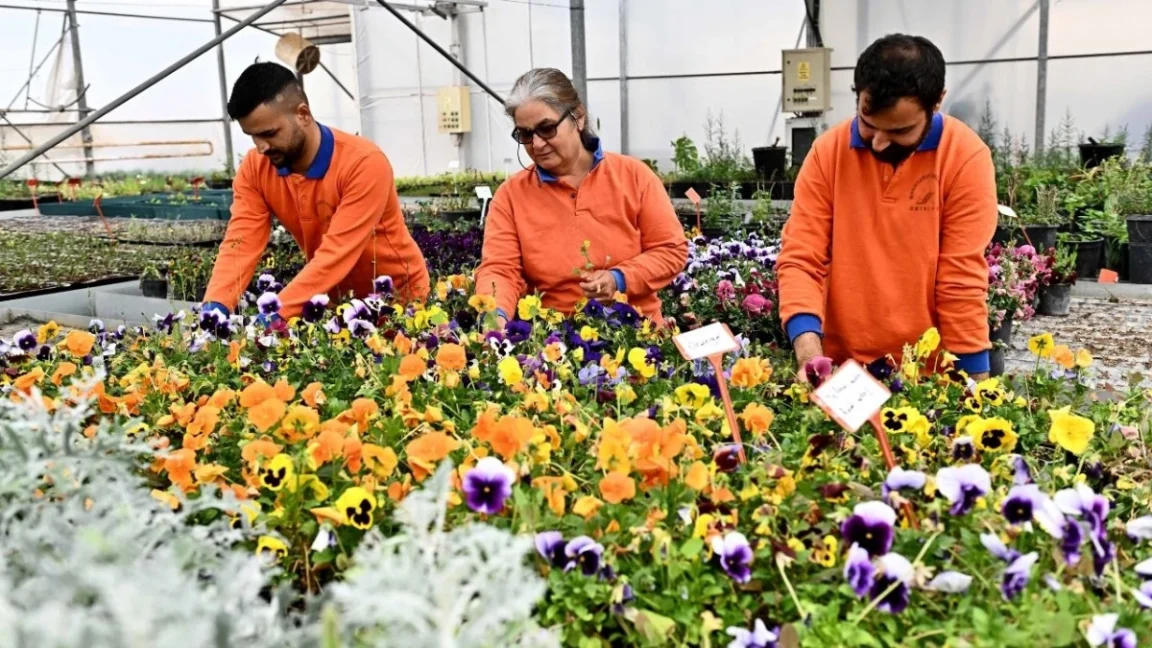 Antalya'da 10 lise Çiçek Desenleri Günleri'nde yarışacak