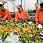 Antalya'da 10 lise Çiçek Desenleri Günleri'nde yarışacak