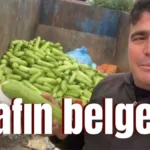 Antalya'da israfın belgesi!