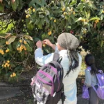 Antalya'da para etmeyince sosyal medyadan çağrı yaptı, bedava dağıttı