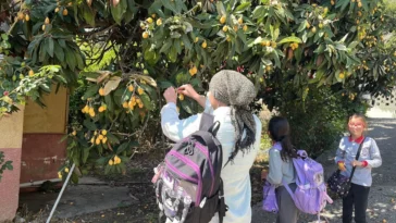 Antalya'da para etmeyince sosyal medyadan çağrı yaptı, bedava dağıttı