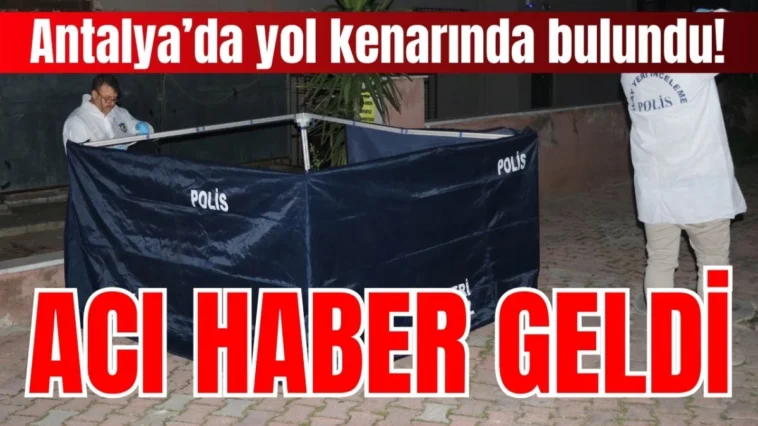 Antalya’da yol kenarında bulundu! Acı haber geldi