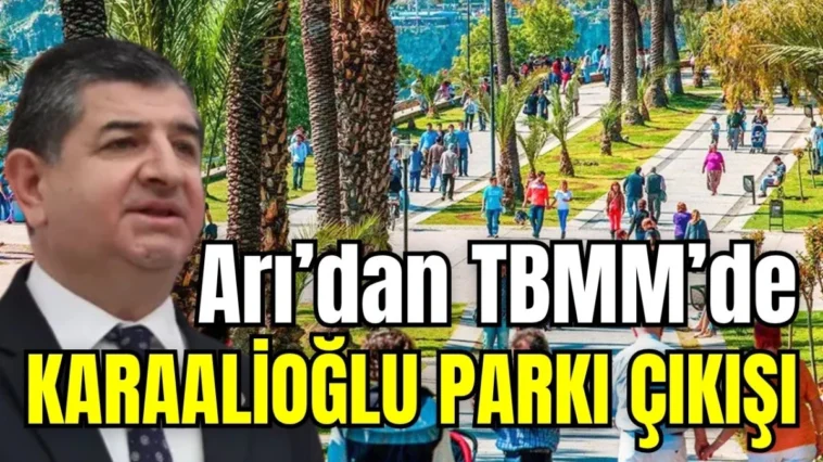 Arı’dan TBMM’de Karaalioğlu Parkı çıkışı