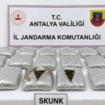 Döşemealtı'nda araçta yapılan aramada 30 kilogram uyuşturucu