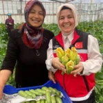 Kadın çiftçi hem üretiyor hem ihraç ediyor hem de pazarda satıyor