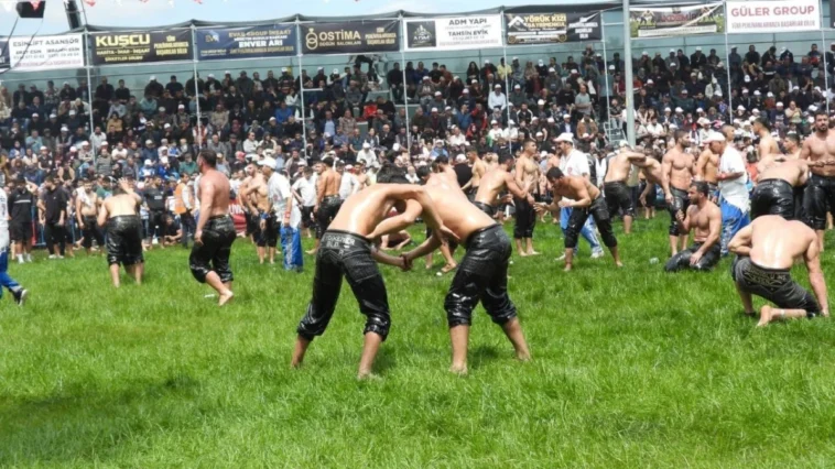 Kepez Yağlı Pehlivan Güreşleri'ne 984 pehlivan katıldı