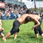 Kepez'de pehlivanlar çayıra çıktı