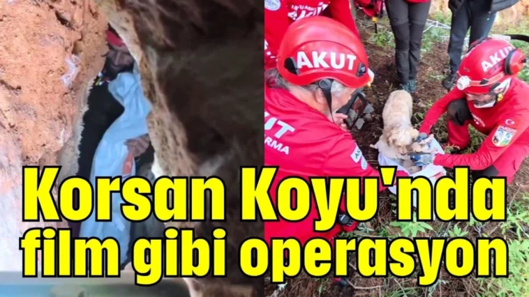 Korsan Koyu'nda film gibi operasyon