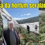 Kumluca'da hortum seraları vurdu