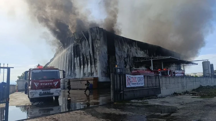 Manavgat’ta fabrika yangını