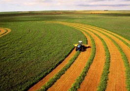 16 bin çiftçi ailesi üretime başladı