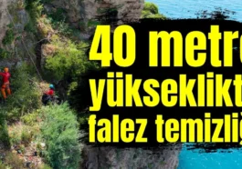 40 metre yükseklikte falez temizliği