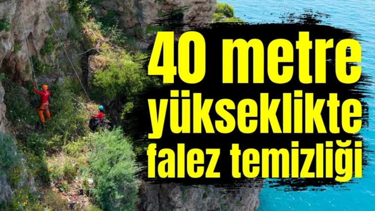 40 metre yükseklikte falez temizliği