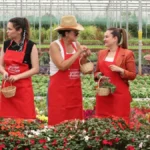 5. Uluslararası Antalya FoodFest Gastronomi Festivali’nde hasat etkinliği