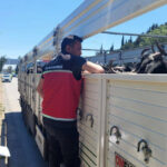 Hayvan nakil araçlarına sıkı denetim