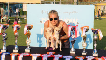 Aladar, 1500 köpek arasında Türkiye şampiyonu oldu