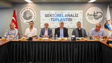 Buğdayda yağmur bereketi