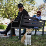 Papyonlu kedi Foça, emekli çiftin hayatını değiştirdi