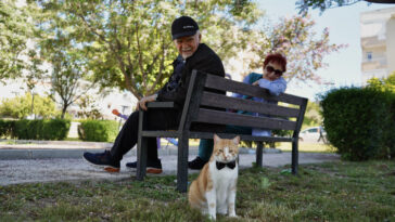 Papyonlu kedi Foça, emekli çiftin hayatını değiştirdi