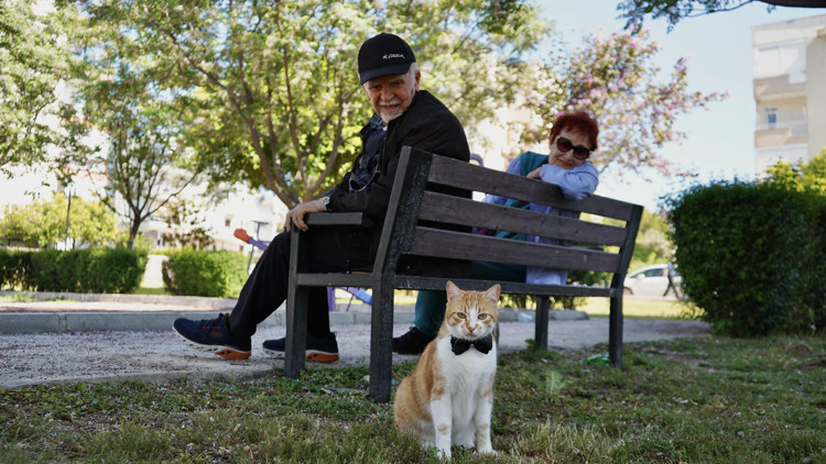 Papyonlu kedi Foça, emekli çiftin hayatını değiştirdi